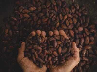 person holding dried beans